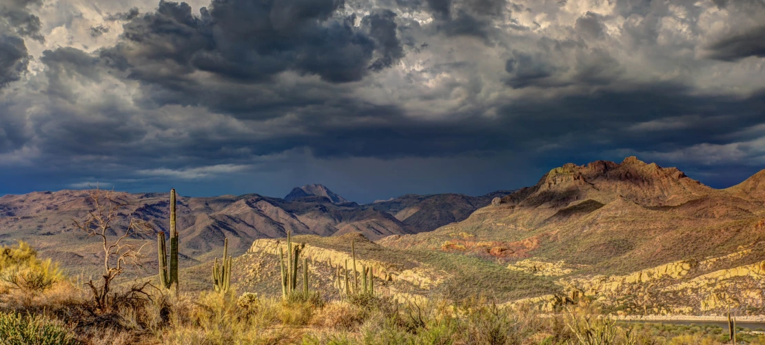 Storm coming in over Arizona landscape.